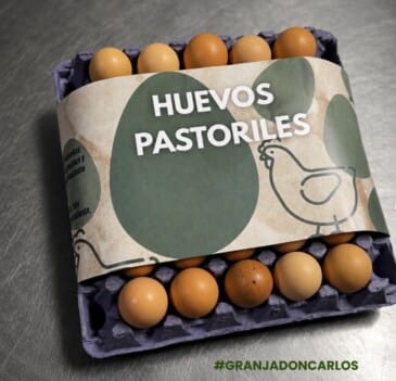 Un maple de huevos / Grandes