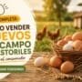 🥚 Guía completa: Cómo vender huevos de campo y pastoriles directo al consumidor (sin pagar comisiones)